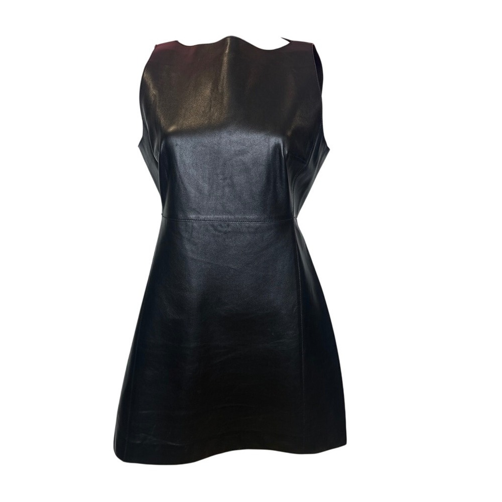 Zara Leather Collection Sheepskin Black Sleeveless A-Line Mini Dress Medium
